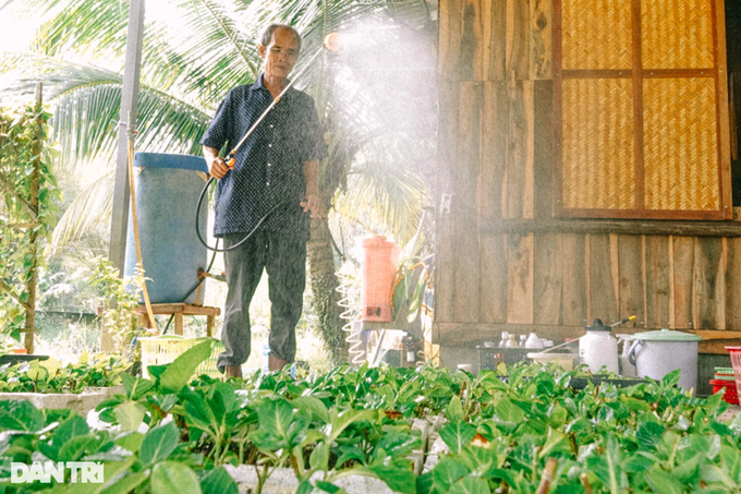 Lão nông dành hơn chục năm bắt cẩm tú cầu bén rễ ở xứ nóng - 5 Lão nông dành hơn chục năm bắt cẩm tú cầu bén rễ ở xứ nóng - 5