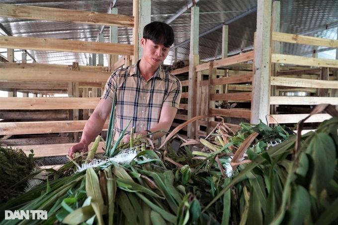 Nuôi con mọc sừng trên đệm lót sinh học, Bí thư Đoàn xã thu tiền tỷ - 4