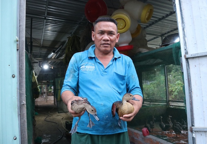 A Cham man who raises his children to eat grass and sleep on the bank earns hundreds of millions of dong/year - 1