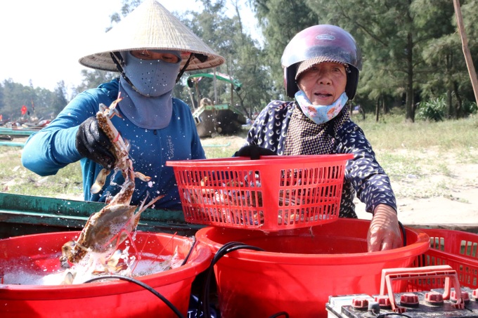 Relieve hand fatigue with high-class specialties, fishermen make millions every day - 6