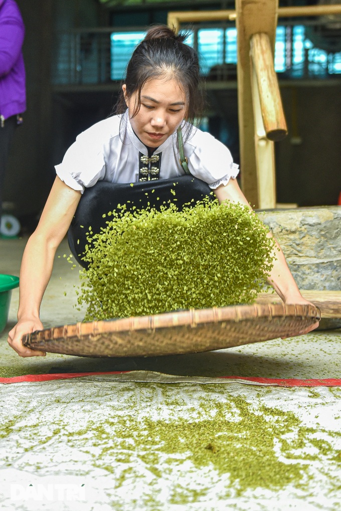 Phát triển vùng trồng nếp tan - loại gạo tạo ra đặc sản cốm ở Mù Cang Chải - 5 Phát triển vùng trồng nếp tan - loại gạo tạo ra đặc sản cốm ở Mù Cang Chải - 5