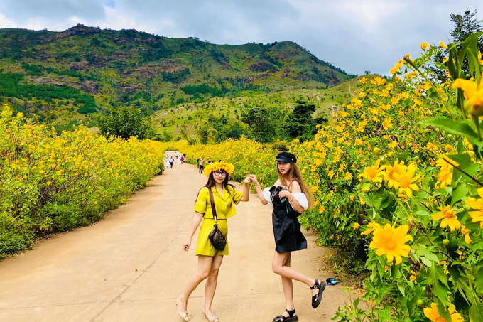 Check-in vast wild sunflowers, unique paragliding experience in Gia Lai - 5