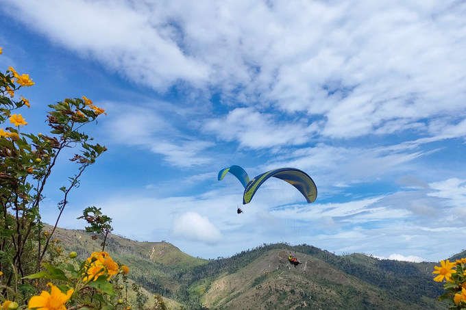 Check-in vast wild sunflowers, unique paragliding experience in Gia Lai - 9