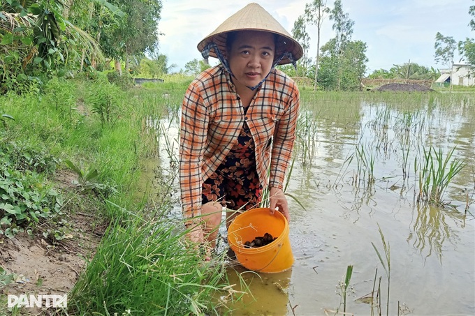 Vợ nghèo gánh nợ trăm triệu, lo chồng tháo khớp chân, 2 con thất học - 3 Vợ nghèo gánh nợ trăm triệu, lo chồng tháo khớp chân, 2 con thất học - 3
