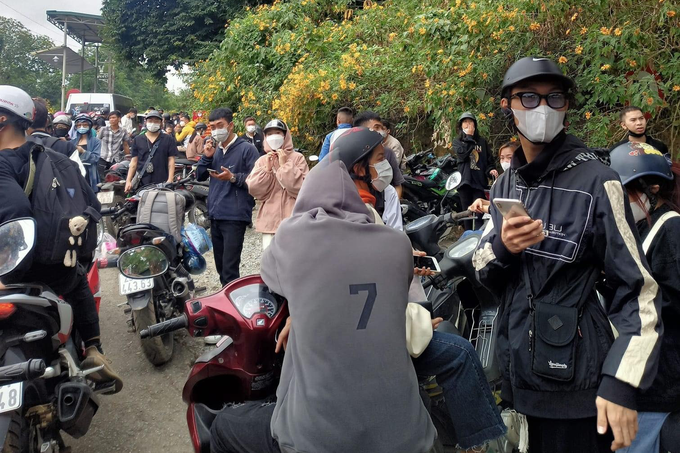 Vườn quốc gia Ba Vì tắc từ sáng đến chiều vì người dân đổ xô ngắm hoa dã quỳ - 3 Vườn quốc gia Ba Vì tắc từ sáng đến chiều vì người dân đổ xô ngắm hoa dã quỳ - 3