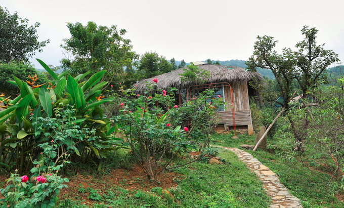 Đã mắt ngắm nhà vườn rộng 12.000m2 của ca sĩ Việt Hoàn - 3