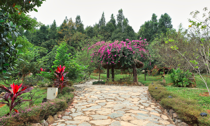 Đã mắt ngắm nhà vườn rộng 12.000m2 của ca sĩ Việt Hoàn - 5 Đã mắt ngắm nhà vườn rộng 12.000m2 của ca sĩ Việt Hoàn - 5