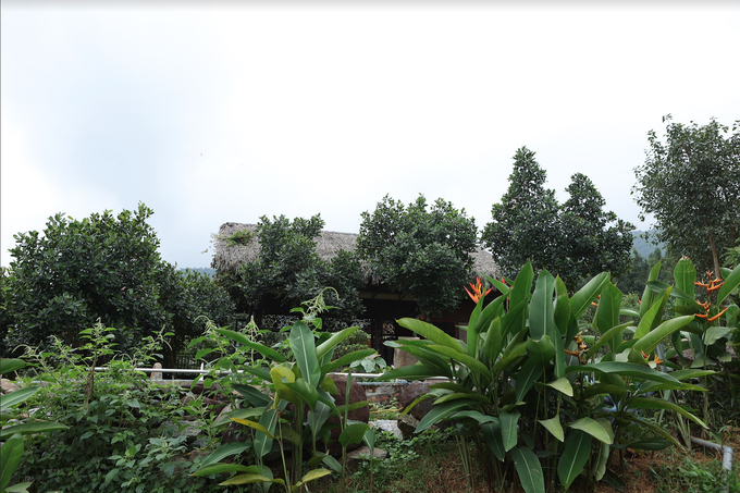 Đã mắt ngắm nhà vườn rộng 12.000m2 của ca sĩ Việt Hoàn - 8
