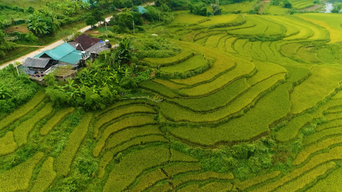 Lễ hội Giã cốm của người Tày - nét đặc sắc văn hóa nơi vùng cao Côn Lôn - 1