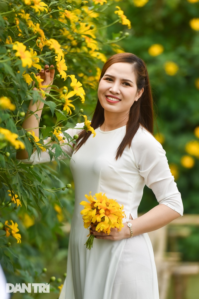 See the wild sunflower garden of 200 trees covered with yellow in the heart of Hanoi - 3