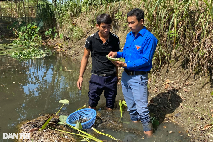Chàng thanh niên bôn ba làm thuê, quay về giúp dân bản cùng đi lên - 2 Chàng thanh niên bôn ba làm thuê, quay về giúp dân bản cùng đi lên - 2