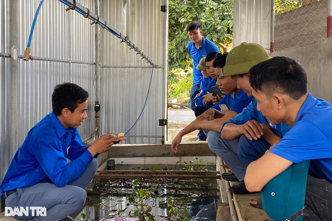 Chàng thanh niên bôn ba làm thuê, quay về giúp dân bản cùng đi lên - 3 Chàng thanh niên bôn ba làm thuê, quay về giúp dân bản cùng đi lên - 3