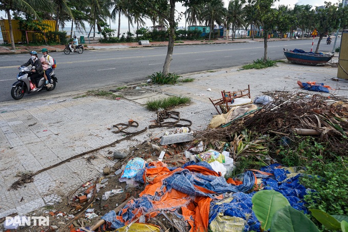 Xà bần, rác thải mọc lộ thiên bên tuyến đường biển Đà Nẵng - 7 Xà bần, rác thải mọc lộ thiên bên tuyến đường biển Đà Nẵng - 7
