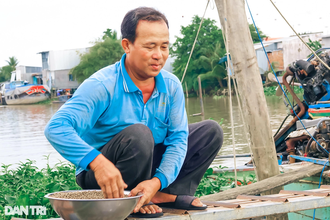 Đàn cá hàng nghìn con tìm về nhà lão nông An Giang ăn nhờ, ở đậu - 3 Đàn cá hàng nghìn con tìm về nhà lão nông An Giang ăn nhờ, ở đậu - 3