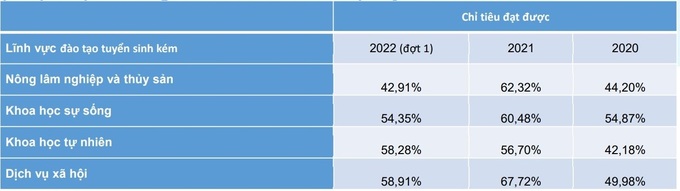 Lĩnh vực nào tuyển sinh kém nhất trong năm 2022? - 1