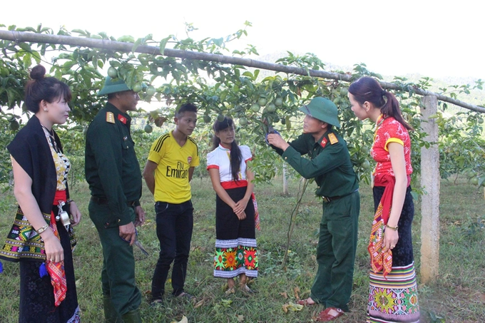 Cây thoát nghèo bị bỏ hoang, người dân miền núi quyết tâm vực dậy - 5 Cây thoát nghèo bị bỏ hoang, người dân miền núi quyết tâm vực dậy - 5