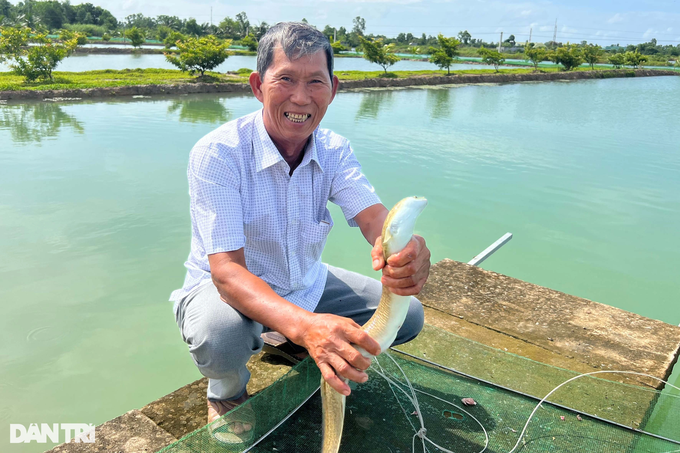 Ca Mau farmer decided to raise strange fish and suddenly became a billionaire - 1