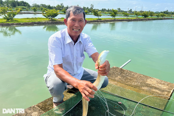 Lão nông Cà Mau quyết nuôi cá &quot;lạ&quot; và bất ngờ thành tỷ phú - Ảnh 1.