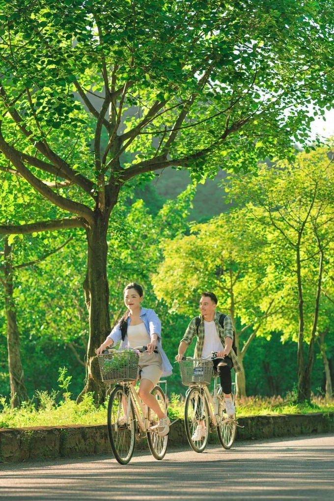 Hàng cây bồ đề dài 10km độc đáo ở Ninh Bình Hàng cây bồ đề dài 10km độc đáo ở Ninh Bình