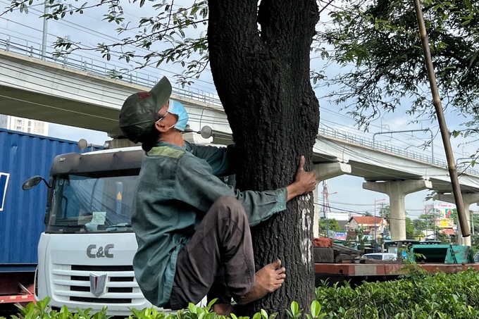 Nỗi lòng của người đàn ông hái me trên đường phố TPHCM - 2 Nỗi lòng của người đàn ông hái me trên đường phố TPHCM - 2