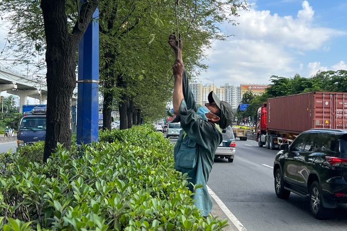Nỗi lòng của người đàn ông hái me trên đường phố TPHCM - 1 Nỗi lòng của người đàn ông hái me trên đường phố TPHCM - 1