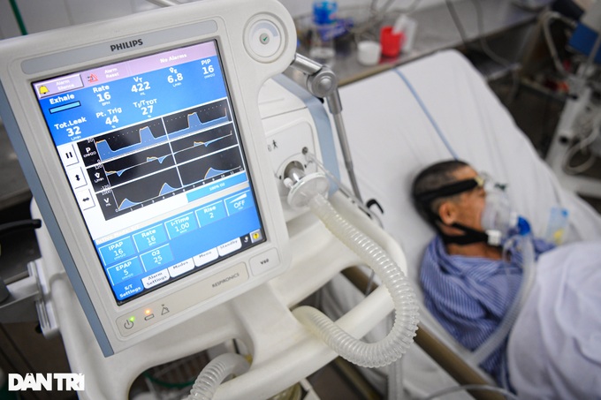 Hà Nội: Một người bán thịt nguy kịch vì nhiễm liên cầu khuẩn lợn - 1 Hà Nội: Một người bán thịt nguy kịch vì nhiễm liên cầu khuẩn lợn - 1