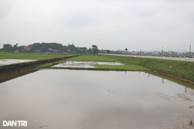 Diễn biến mới nhất vụ 3 tỷ đồng không mua nổi lô đất quê tại Hà Tĩnh - 1