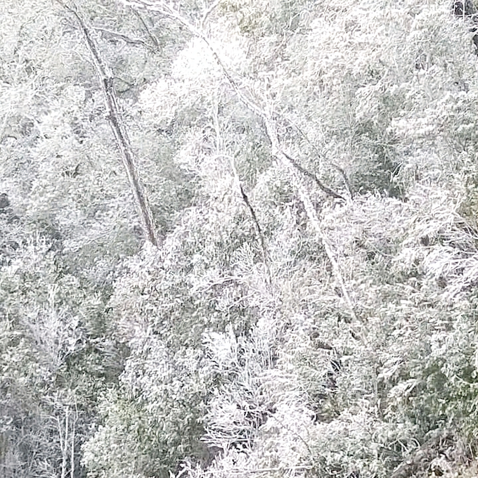 1671337525424-edited.jpeg băng_tuyết.jpeg