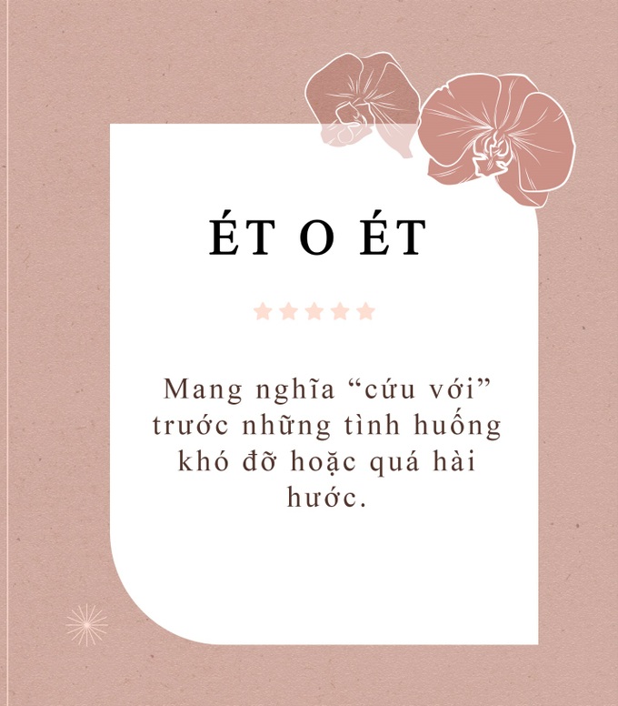 Những từ lóng được giới trẻ Việt sử dụng phổ biến năm 2022 - Ảnh 7.