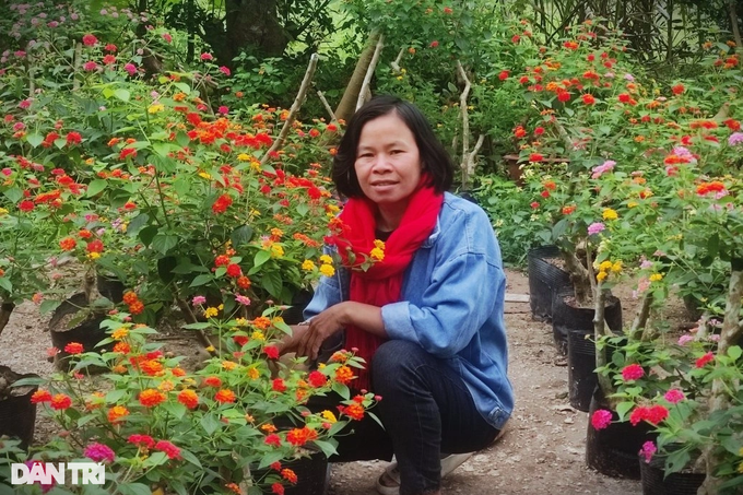 Single woman turns wild plants into beautiful flowers, earns millions - 6