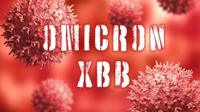 Biến thể XBB lây lan nhanh xuất hiện ở TPHCM và Tây Ninh - 1