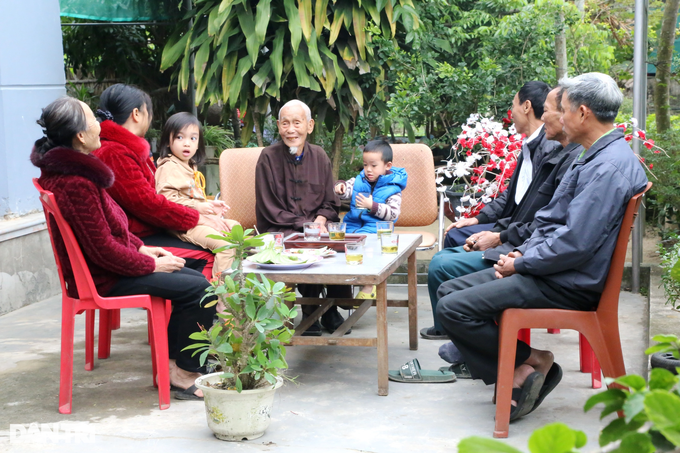 Planting a type of tree that leads to the king, farmers are tired of picking leaves to count money during Tet - 5