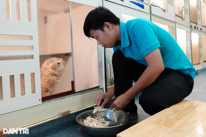The boy spent more than 200 million VND to open a cat cafe for guests to caress - 4