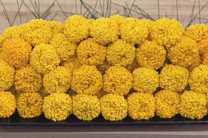 The guy crocheted wool into all kinds of flowers, selling a few million dong a pot on Tet holiday - 2