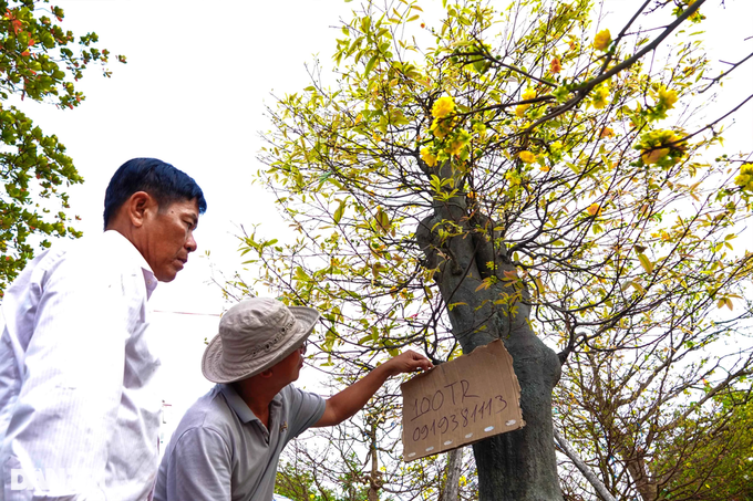 Tiểu thương chợ hoa chiều 30 Tết: Bán xả, bán lỗ, giá nào cũng bán - 7