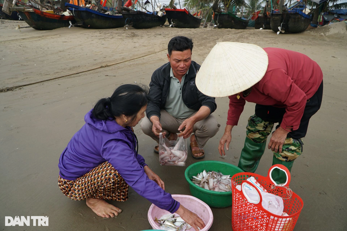 Fishermen hunt fish and potatoes, earn millions on New Year's Day - 7