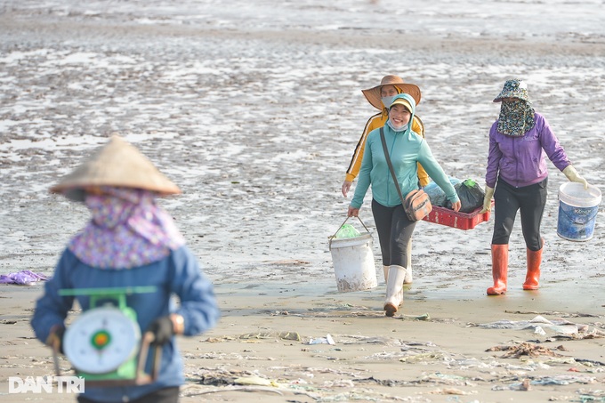 Hunting mantis shrimp at the beginning of the year, fishermen earn millions every day - 10