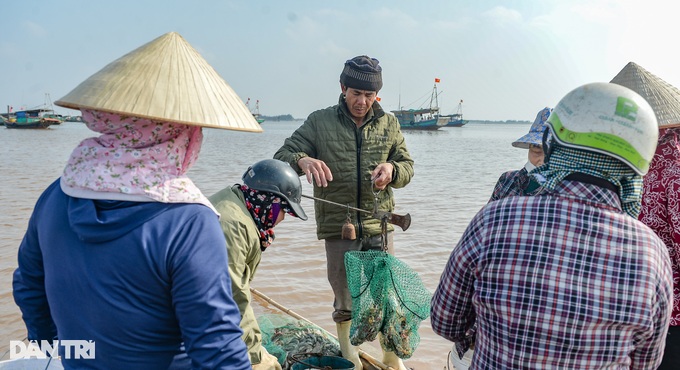 Hunting mantis shrimp at the beginning of the year, fishermen earn millions every day - 4 Hunting mantis shrimp at the beginning of the year, fishermen earn millions every day - 4