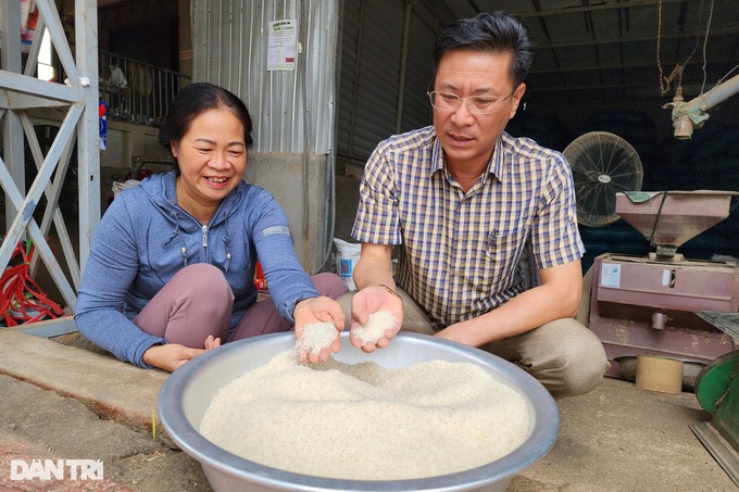 Người đưa giống gạo ngon nhất thế giới về trồng dưới chân núi lửa - 2 Người đưa giống gạo ngon nhất thế giới về trồng dưới chân núi lửa - 2