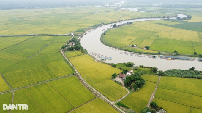 Người đưa giống gạo ngon nhất thế giới về trồng dưới chân núi lửa - 4 Người đưa giống gạo ngon nhất thế giới về trồng dưới chân núi lửa - 4