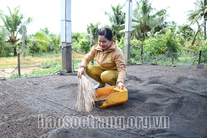 Nuôi đàn thú ngủ trên trời, nông dân hứng phân mà bán đắt tiền - 1