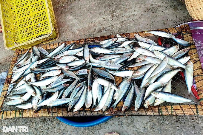 Grilling fish at the foot of the sacred temple in Nghe country - 2