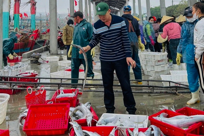 Fishermen won a billion-dollar catch in the first sea opening trip of the year - 3