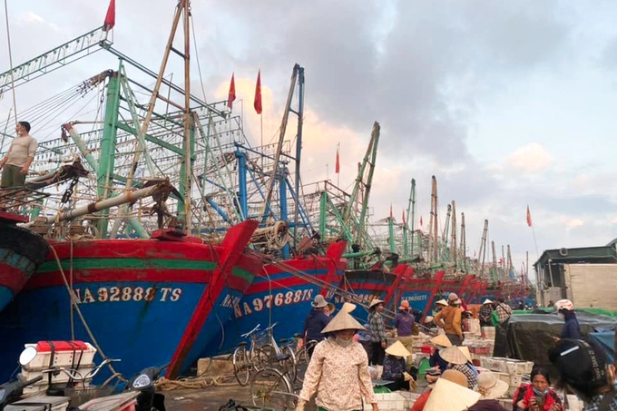 Fishermen won a billion-dollar catch in the first sea opening trip of the year - 2