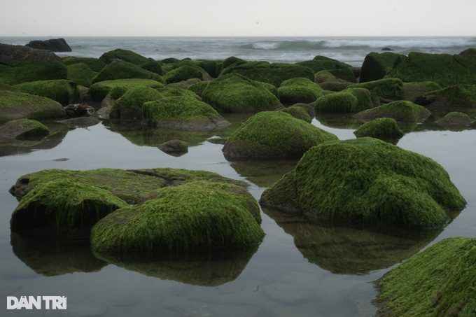 The rock has turned into a green silk strip, young people get up early in the morning to check-in - 12