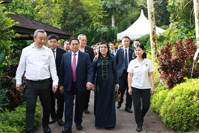Singapore lấy tên Thủ tướng Phạm Minh Chính và Phu nhân đặt cho loài hoa lan mới - 2 Singapore lấy tên Thủ tướng Phạm Minh Chính và Phu nhân đặt cho loài hoa lan mới - 2