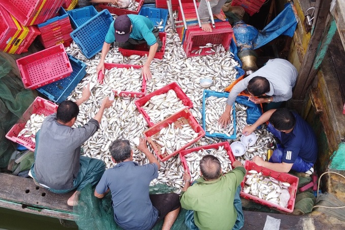 Consecutively winning big catches, fishermen make hundreds of millions - 2