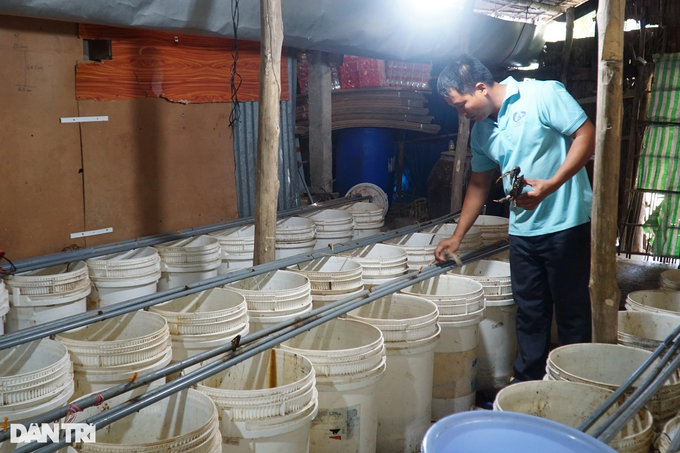 The secret to looking for crabs helps Ben Tre teachers make billions of money every year - 2