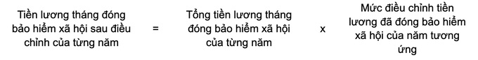 Mức lương mới áp dụng để đóng bảo hiểm xã hội, tính lương hưu - 2