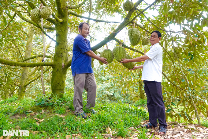 Durian exported abroad increased to a record price, farmers immediately profited billions - 1